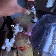きれいな水槽の画像