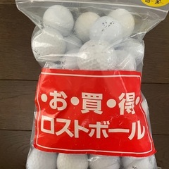 ロストボールとゴルフティーのセットの画像