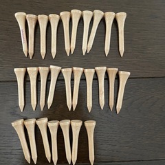 ロストボールとゴルフティーのセットの画像