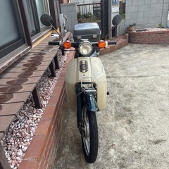 ホンダスーパーカブ50の画像