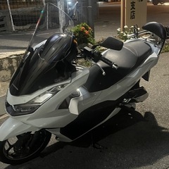 pcxjk05
の画像