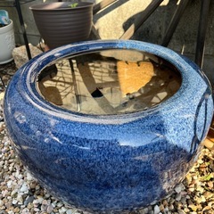 大きめ火鉢　メダカ鉢の画像