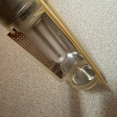 卓上ライト 照明の画像