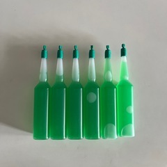 観葉植物　ウンベラータ　高さ70cmほどの画像