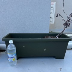 プランター　ふたつ　家庭菜園　ガーデニングの画像