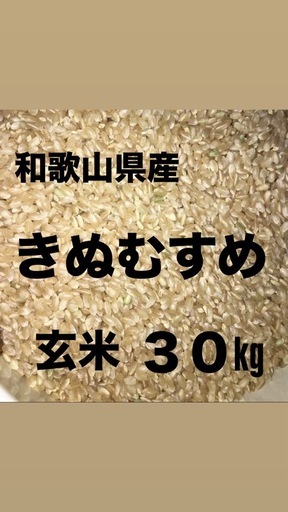 和歌山まで配送【農家直送】和歌山県産きぬむすめ玄米 【公式通販】