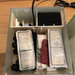 GEXグラステリアOF230 水槽の画像