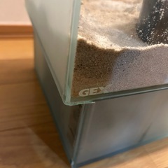 GEXグラステリアOF230 水槽の画像