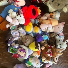 ぬいぐるみ🧸の画像