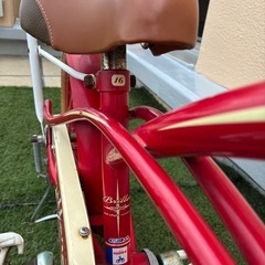 アサヒ　ブリエアンファン　　の画像