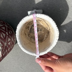 陶器鉢/鉢カバーの画像