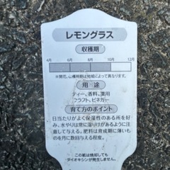 早くお引き取り可能な方へお譲りします！愛知県稲沢市の画像