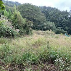 No.D755【長野県茅野市金沢】農地（田・畑）7筆あげます！