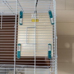 ハリネズミ　飼育セットの画像