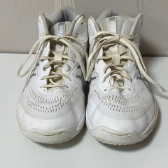 アシックス asics スニーカー バッシュ 28.5cmの画像