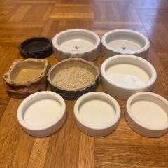 爬虫類 餌皿 水入れ セットの画像