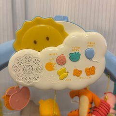 プーメリーの画像