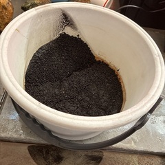 水槽の土　ソイル　バケツ付きの画像