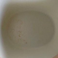 猫トイレの画像
