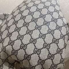 vintage gucci シェリーライン　ナウガモンスターの画像