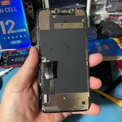 iPhone11 パネルの画像