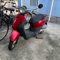 HONDA TODAY 50ccの画像
