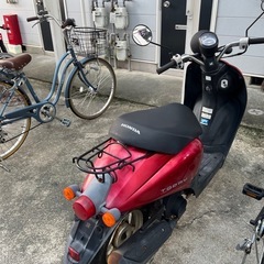 HONDA TODAY 50ccの画像