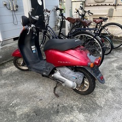 HONDA TODAY 50ccの画像