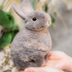 ［10/29体験会］リアルかわいい うさぎ羊毛フェルトの画像