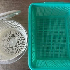パリパリサラダセットの画像