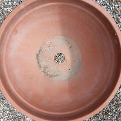植木鉢差し上げますの画像