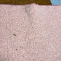  最終値下げ   ホットカーペット 電気カーペット の画像