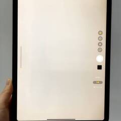 【Wi-Fiモデル】iPad Pro 第1世代/64GB/A1980〈MTXN2J/A〉の画像