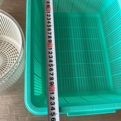 パリパリサラダセットの画像