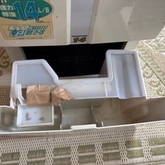 SHARP 除湿機 衣類燥機 DW-K14FXの画像