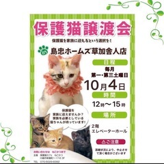 10/4（土）島忠ホームズ草加舎人店保護猫譲渡会