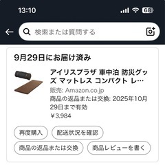 【中古・美品】9/29購入・受付10/5まで・10/10 お渡し 車中泊用マットレスの画像