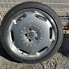 カールソン　ディッシュの画像