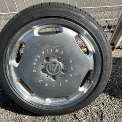カールソン　ディッシュの画像