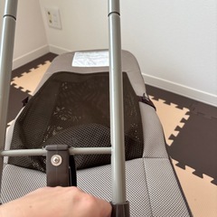 リッチェル　バウンサーの画像