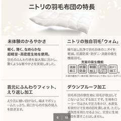 【新品未使用】N-sleep Down Standardの画像