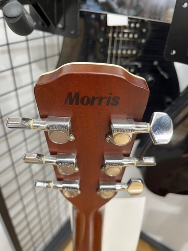 MORRISのアコースティックギターをご紹介します！
