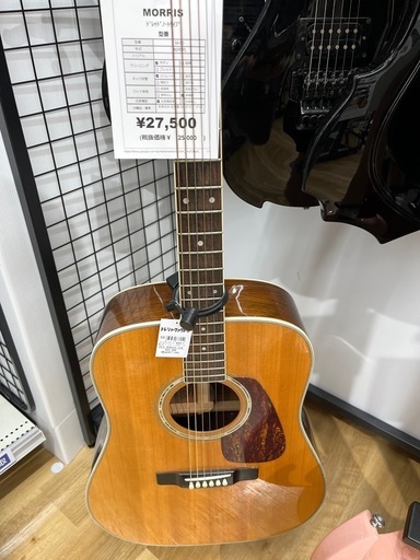 MORRISのアコースティックギターをご紹介します！