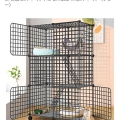 ほぼ新品✨子猫用スターターセットの画像