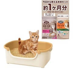 ほぼ新品✨子猫用スターターセットの画像