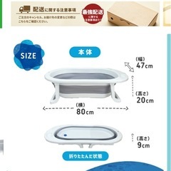 ベビーバス　クッションセットの画像