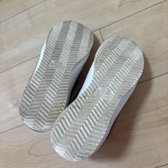 ナイキ NIKE コルテッツ  23.0センチの画像