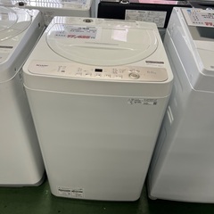 洗濯槽　2024  一人暮らし用の画像