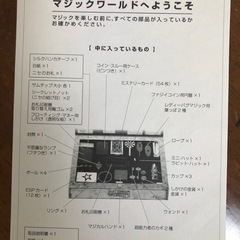 マジックワールド　マジシャン養成キット　DVD付きの画像