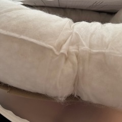 purflo  ベッドインベッドの画像